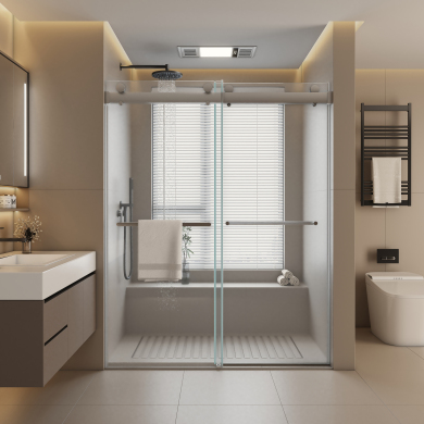 Shower Door